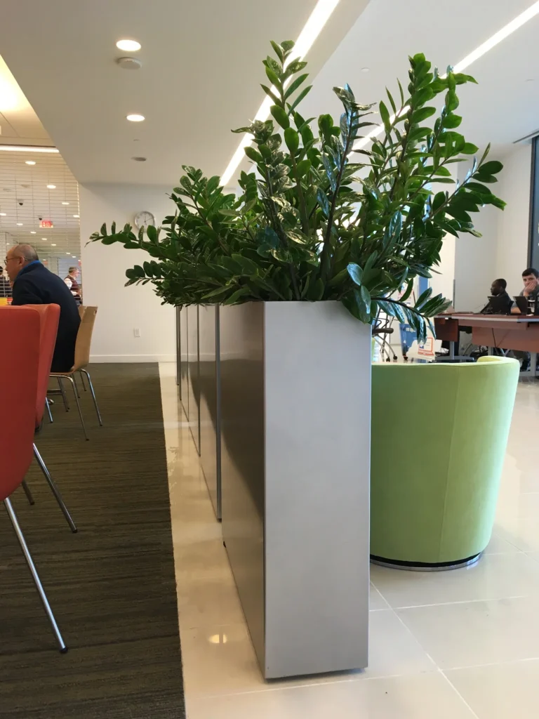 why Plants for Offices?