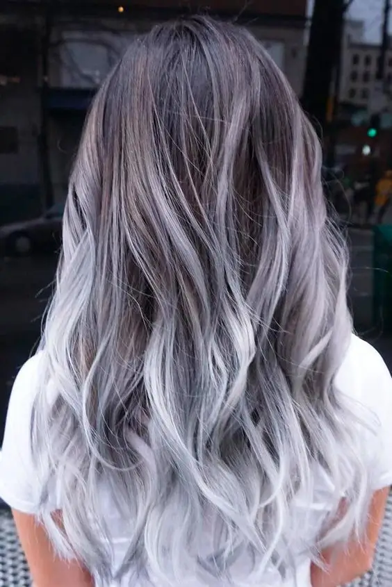 Ombre Eleganceimage Shades  hair