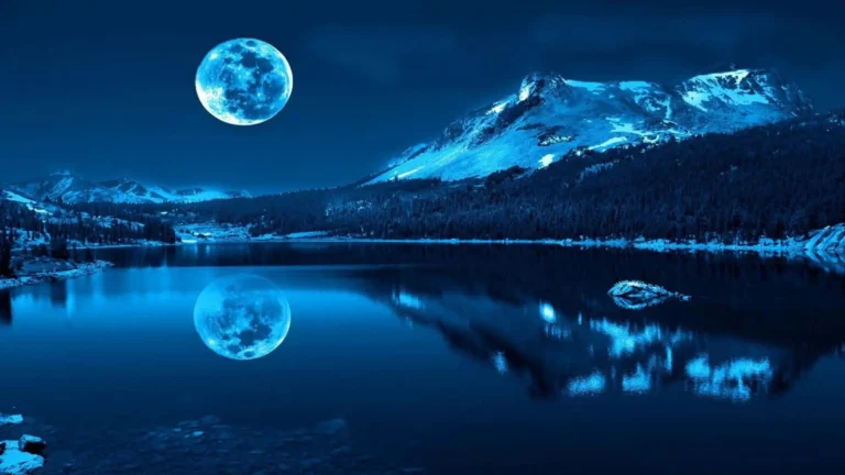 Nature-Inspired Blue Wallpapers