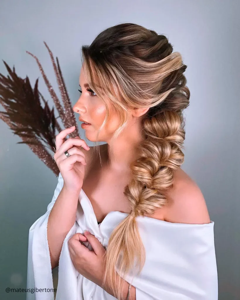 Elegant Braided Crown 2