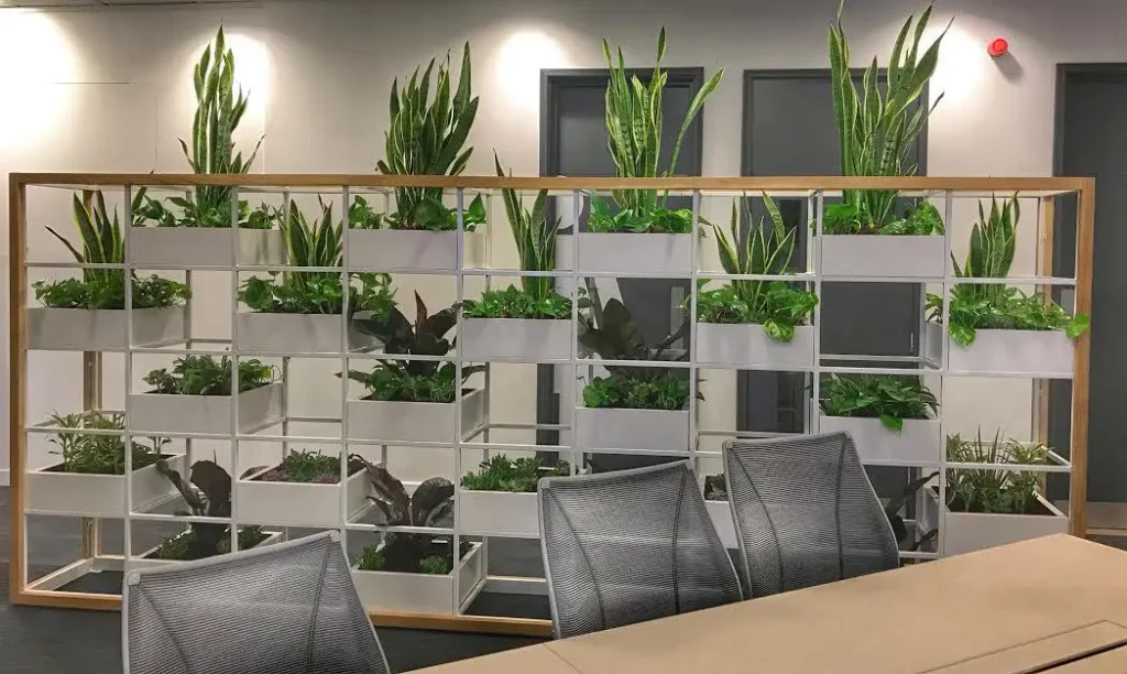 Best Plants for Offices with No Light or Window
