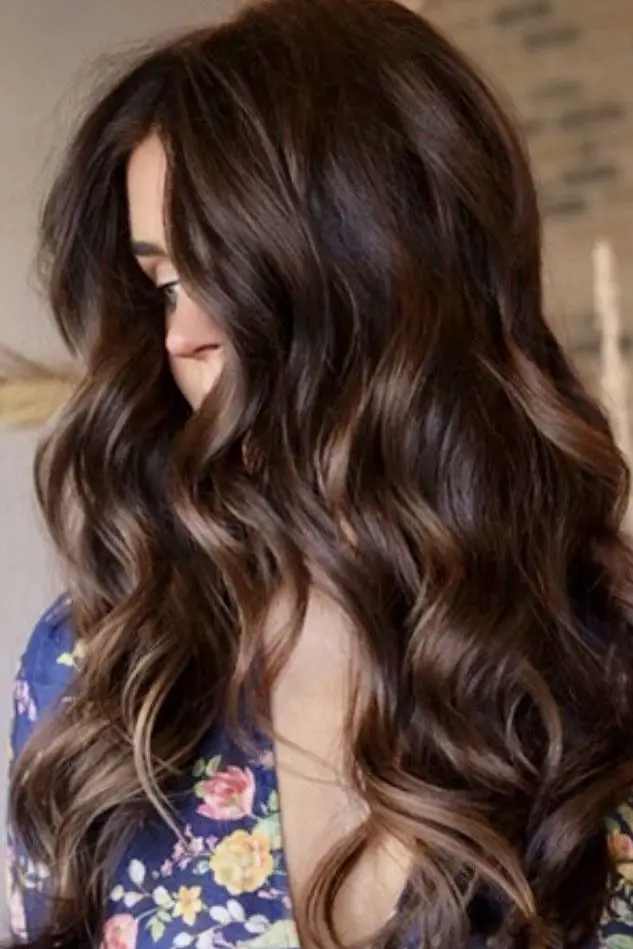  Deep Dark Brown Hair 1