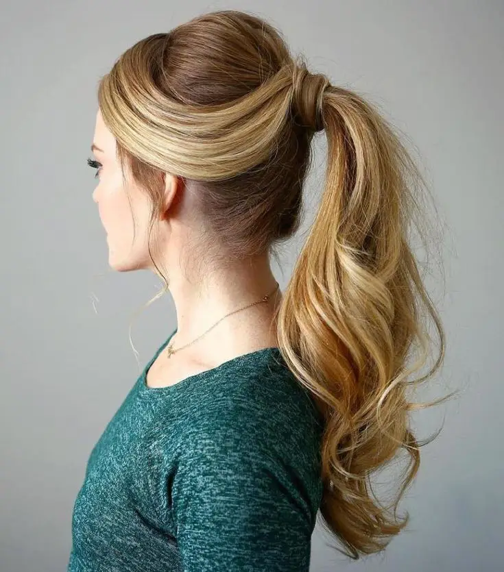 Elegant Sleek Ponytail for Chestnut Hai