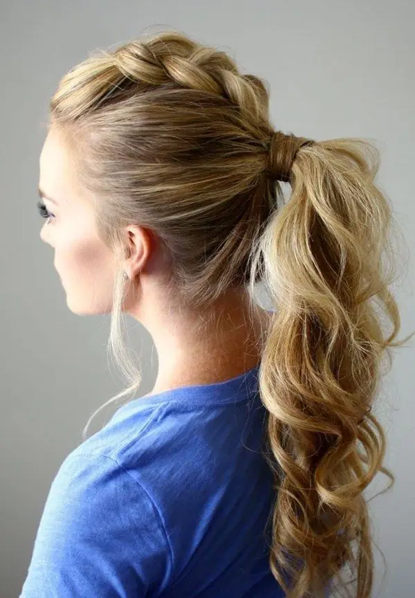 Elegant Sleek Ponytail for Chestnut Hai